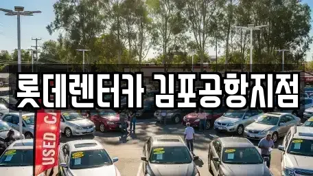 서울 강서구 오쇠동 렌트카 전문 롯데렌터카 김포공항지점