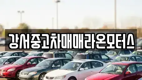 서울 강서구 오쇠동 중고차매매 전문 강서중고차매매라온모터스
