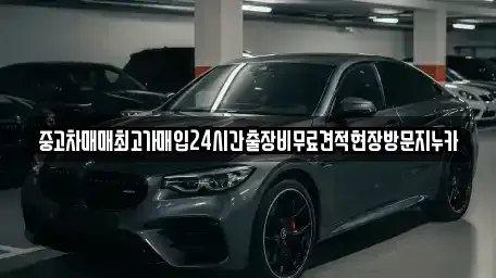 서울 강서구 오쇠동 중고차매입 전문 중고차매매최고가매입24시간출장비무료견적현장방문지누카