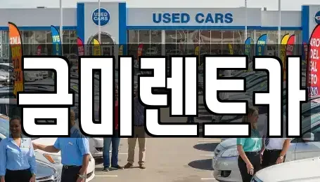서울 구로구 구로동 렌트카 전문 금미렌트카