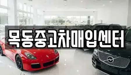 서울 구로구 구로동 중고차매입 전문 목동중고차매입센터
