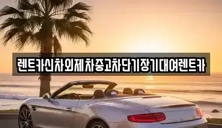 서울 동작구 단기렌트카 전문 렌트카신차외제차중고차단기장기대여렌트카