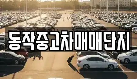 서울 동작구 중고차 전문 동작중고차매매단지