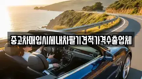 서울 동작구 중고차 전문 중고차매입시세내차팔기견적가격수출업체
