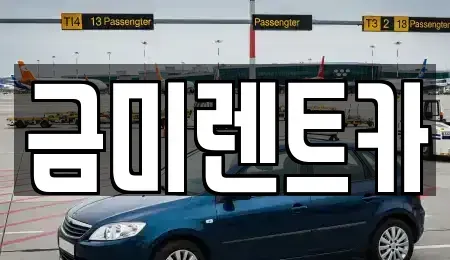 서울 마포구 중동 렌트카 전문 금미렌트카