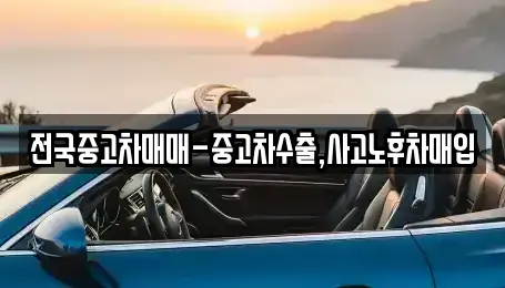 서울 성북구 동선동1가 중고차매매 전문 전국중고차매매-중고차수출,사고노후차매입