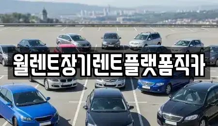 서울 성북구 삼선동3가 장기렌트카 전문 월렌트장기렌트플랫폼직카