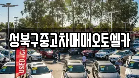 서울 성북구 삼선동3가 중고차 전문 성북구중고차매매오토셀카