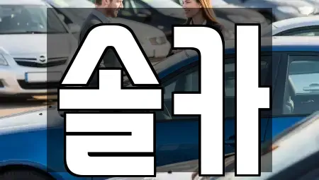 서울 성북구 삼선동3가 중고차 전문 솔카