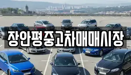서울 성북구 삼선동3가 중고차 전문 장안평중고차매매시장