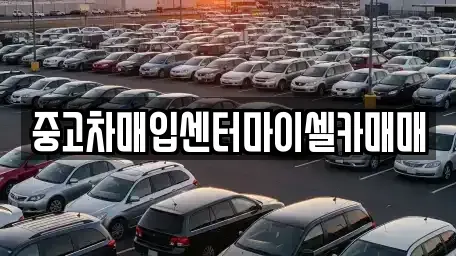 서울 성북구 삼선동3가 중고차매입 전문 중고차매입센터마이셀카매매