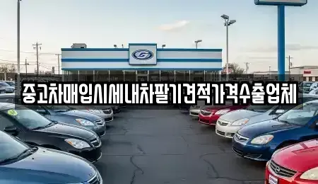 서울 성북구 삼선동3가 중고차매입 전문 중고차매입시세내차팔기견적가격수출업체