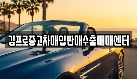 서울 용산구 청파동3가 중고차매입 전문 김프로중고차매입판매수출매매센터