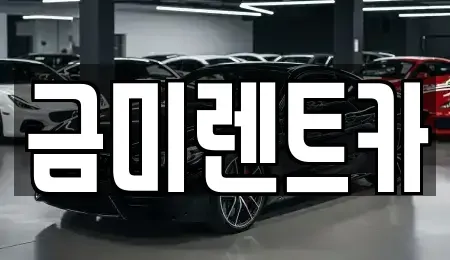 서울 종로구 명륜1가 렌트카 전문 금미렌트카