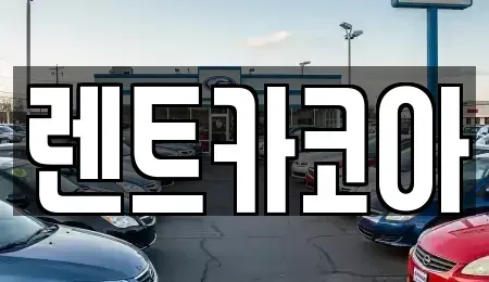 서울 종로구 명륜1가 렌트카 전문 렌트카코아