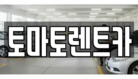 서울 종로구 명륜1가 렌트카 전문 토마토렌트카