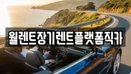 서울 종로구 명륜1가 장기렌트카 전문 월렌트장기렌트플랫폼직카