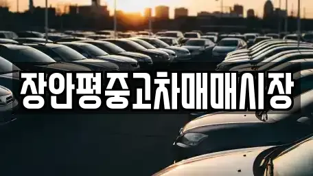 서울 종로구 명륜1가 중고차매매 전문 장안평중고차매매시장