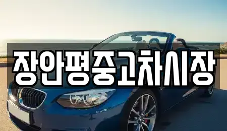 서울 종로구 명륜1가 중고차매매 전문 장안평중고차시장