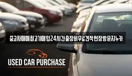 서울 종로구 명륜1가 중고차매입 전문 중고차매매최고가매입24시간출장비무료견적현장방문지누카