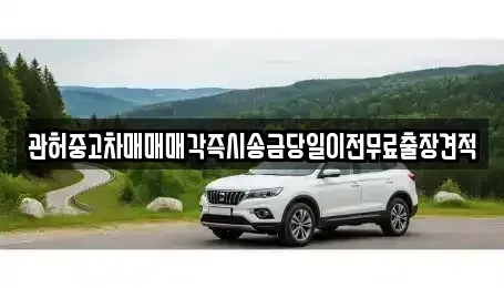 서울 종로구 화동 중고차 전문 관허중고차매매매각즉시송금당일이전무료출장견적
