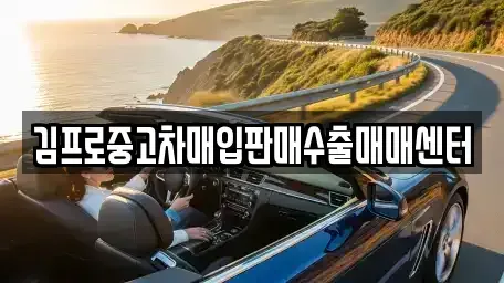 서울 종로구 화동 중고차매입 전문 김프로중고차매입판매수출매매센터