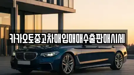 서울 종로구 화동 중고차매입 전문 카카오토중고차매입매매수출판매시세