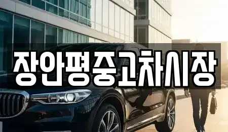 서울 중구 봉래동2가 중고차 전문 장안평중고차시장