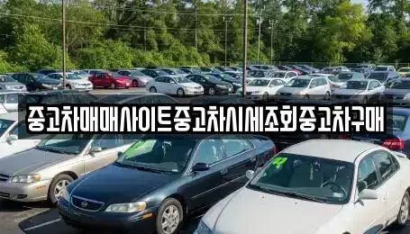 서울 중구 봉래동2가 중고차 전문 중고차매매사이트중고차시세조회중고차구매