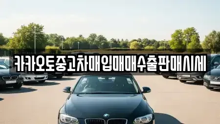서울 중구 봉래동2가 중고차매입 전문 카카오토중고차매입매매수출판매시세