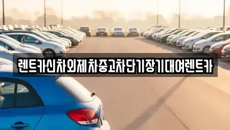 서울특별시 강남구 일원동 단기렌트카 전문 렌트카신차외제차중고차단기장기대여렌트카