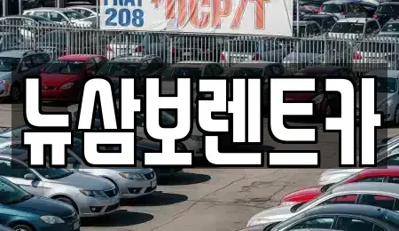 서울특별시 강남구 일원동 렌트카 전문 뉴삼보렌트카