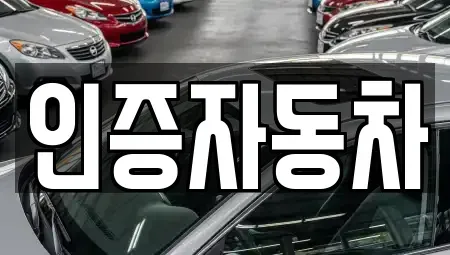 서울특별시 강남구 일원동 중고차매매 전문 인증자동차