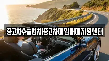 서울특별시 강남구 일원동 중고차매매 전문 중고차수출업체중고차매입매매지원센터