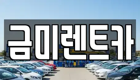서울특별시 강서구 개화동 렌트카 전문 금미렌트카