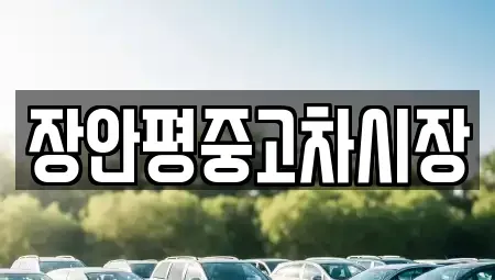서울특별시 강서구 개화동 중고차 전문 장안평중고차시장