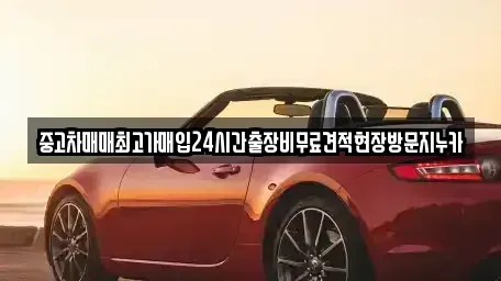 서울특별시 강서구 개화동 중고차 전문 중고차매매최고가매입24시간출장비무료견적현장방문지누카