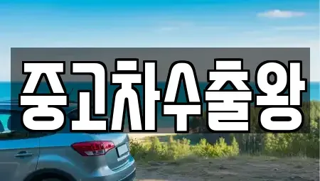 서울특별시 강서구 개화동 중고차 전문 중고차수출왕