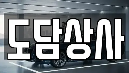 서울특별시 강서구 개화동 중고차매매 전문 도담상사