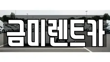 서울특별시 강서구 외발산동 렌트카 전문 금미렌트카