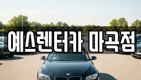 서울특별시 강서구 외발산동 장기렌트카 전문 예스렌터카 마곡점