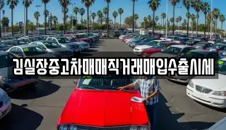 서울특별시 강서구 외발산동 중고차 전문 김실장중고차매매직거래매입수출시세