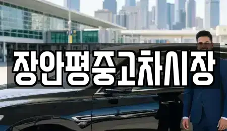 서울특별시 강서구 외발산동 중고차 전문 장안평중고차시장