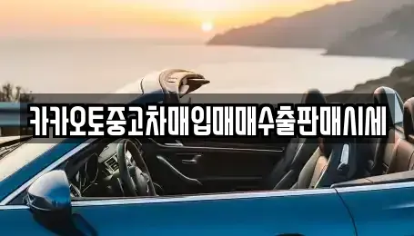 서울특별시 강서구 외발산동 중고차매입 전문 카카오토중고차매입매매수출판매시세