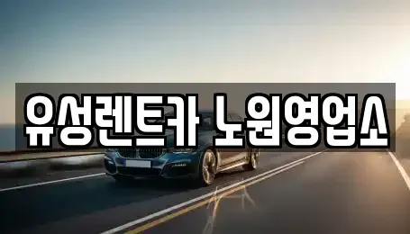 서울특별시 노원구 공릉동 렌트카 전문 유성렌트카 노원영업소