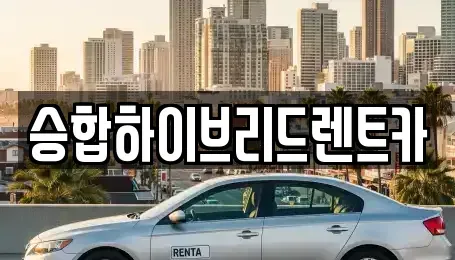 서울특별시 노원구 공릉동 장기렌트카 전문 승합하이브리드렌트카