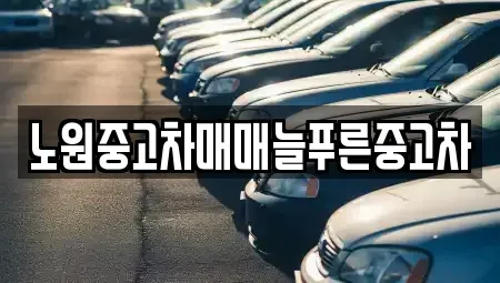 서울특별시 노원구 공릉동 중고차 전문 노원중고차매매늘푸른중고차