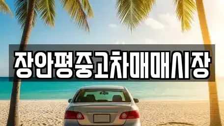 서울특별시 노원구 공릉동 중고차 전문 장안평중고차매매시장