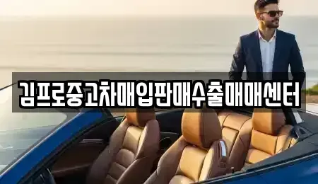 서울특별시 노원구 공릉동 중고차매입 전문 김프로중고차매입판매수출매매센터