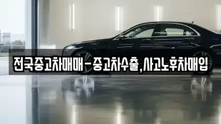 서울특별시 동대문구 전농동 중고차 전문 전국중고차매매-중고차수출,사고노후차매입